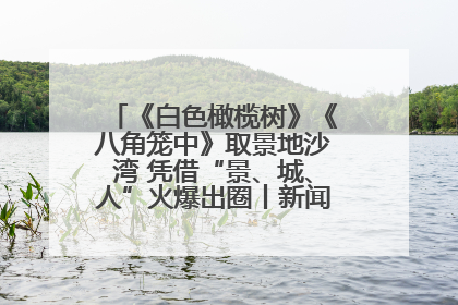 《白色橄榄树》《八角笼中》取景地沙湾 凭借“景、城、人”火爆出圈丨新闻发布最前线