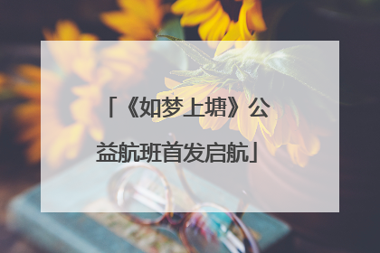 《如梦上塘》公益航班首发启航