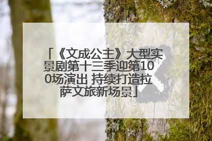 《文成公主》大型实景剧第十三季迎第100场演出 持续打造拉萨文旅新场景