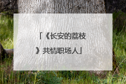 《长安的荔枝》共情职场人