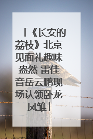 《长安的荔枝》北京见面礼趣味盎然 雷佳音岳云鹏现场认领卧龙凤雏