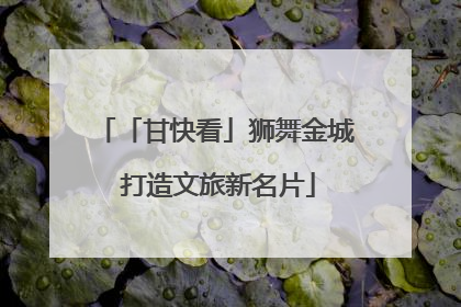 「甘快看」狮舞金城 打造文旅新名片