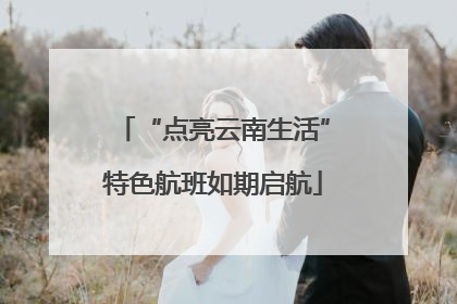 “点亮云南生活”特色航班如期启航