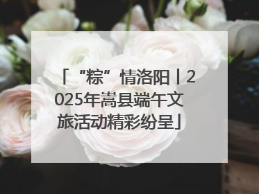 “粽”情洛阳丨2025年嵩县端午文旅活动精彩纷呈