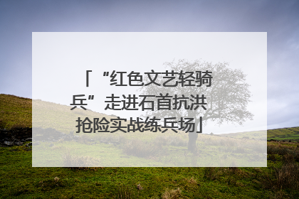 “红色文艺轻骑兵”走进石首抗洪抢险实战练兵场