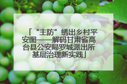 “主防”绣出乡村平安图——解码甘肃省高台县公安局罗城派出所基层治理新实践