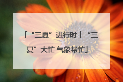 “三夏”进行时丨“三夏”大忙 气象帮忙