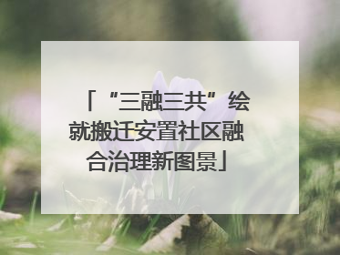 “三融三共”绘就搬迁安置社区融合治理新图景