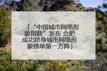 “中国城市网络形象指数”发布 合肥成功跻身城市网络形象榜单第一方阵