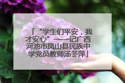 “学生们平安，我才安心”——记广西河池市凤山县民族中学党员教师汤冬萍