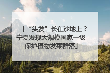 “头发”长在沙地上？宁夏发现大规模国家一级保护植物发菜群落