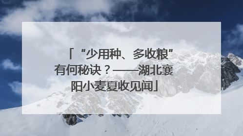 “少用种、多收粮”有何秘诀？——湖北襄阳小麦夏收见闻