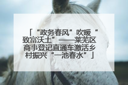 “政务春风”吹暖“致富沃土”——莱芜区商事登记直通车激活乡村振兴“一池春水”