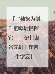 “数据为剑”的幕后指挥官——记甘肃省先进工作者牛学云