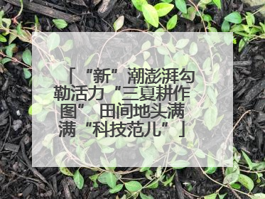 “新”潮澎湃勾勒活力“三夏耕作图” 田间地头满满“科技范儿”