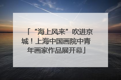 “海上风来”吹进京城！上海中国画院中青年画家作品展开幕