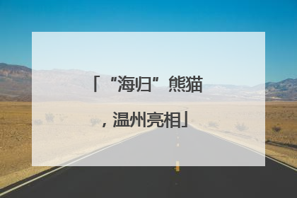 “海归”熊猫，温州亮相