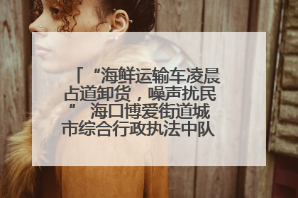 “海鲜运输车凌晨占道卸货，噪声扰民” 海口博爱街道城市综合行政执法中队：将联合交警加强长堤路一带巡逻