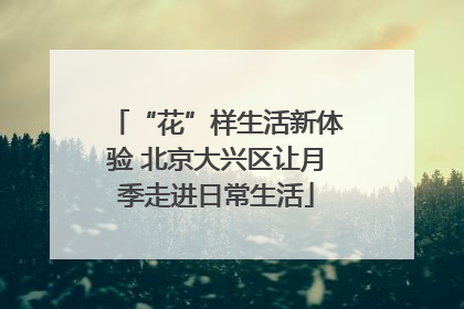 “花”样生活新体验 北京大兴区让月季走进日常生活