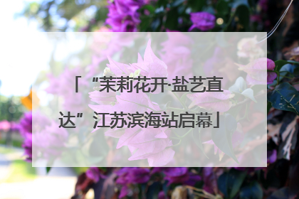 “茉莉花开·盐艺直达”江苏滨海站启幕