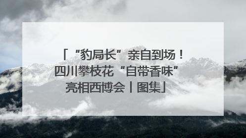 “豹局长”亲自到场！四川攀枝花“自带香味”亮相西博会丨图集
