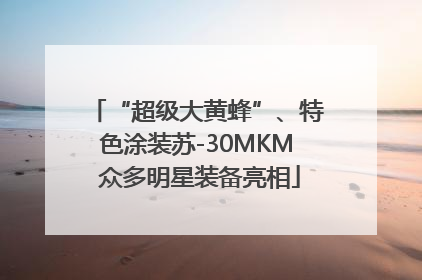 “超级大黄蜂”、特色涂装苏-30MKM 众多明星装备亮相