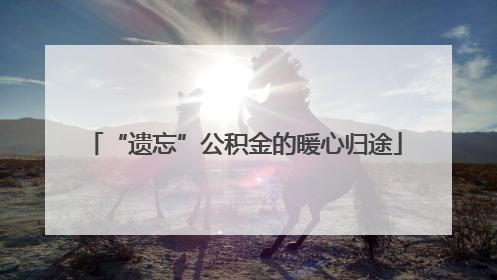 “遗忘”公积金的暖心归途
