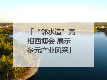 “邻水造”亮相西博会 展示多元产业风采