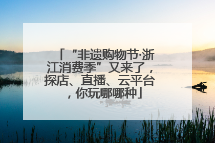 “非遗购物节·浙江消费季”又来了，探店、直播、云平台，你玩哪哪种