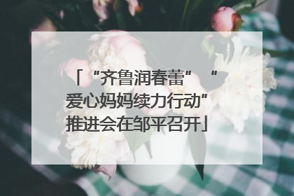 “齐鲁润春蕾”“爱心妈妈续力行动”推进会在邹平召开