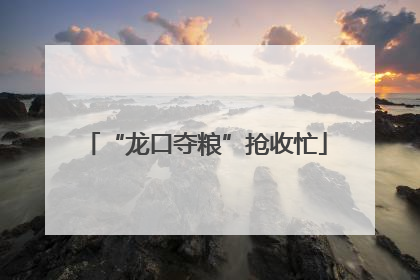 “龙口夺粮”抢收忙