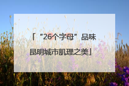 “26个字母”品味昆明城市肌理之美