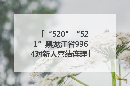 “520”“521”黑龙江省9964对新人喜结连理