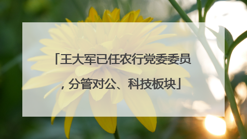 王大军已任农行党委委员，分管对公、科技板块