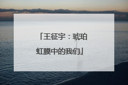 王征宇：琥珀虹膜中的我们