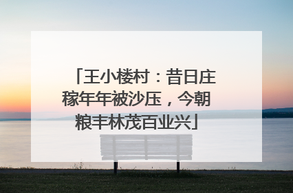王小楼村：昔日庄稼年年被沙压，今朝粮丰林茂百业兴