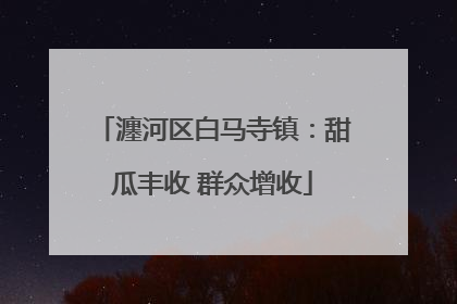 瀍河区白马寺镇：甜瓜丰收 群众增收