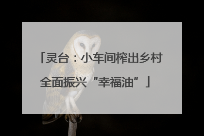 灵台：小车间榨出乡村全面振兴“幸福油”