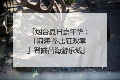 烟台夏日嘉年华：「闹海·拳击狂欢季」登陆黄海游乐城