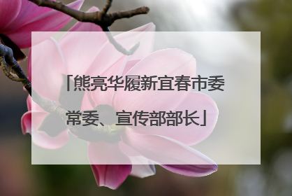 熊亮华履新宜春市委常委、宣传部部长