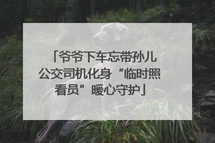 爷爷下车忘带孙儿 公交司机化身“临时照看员”暖心守护