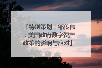 特别策划丨邹传伟：美国政府数字资产政策的影响与应对