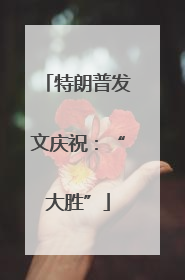 特朗普发文庆祝：“大胜”