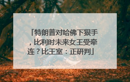 特朗普对哈佛下狠手，比利时未来女王受牵连？比王室：正研判