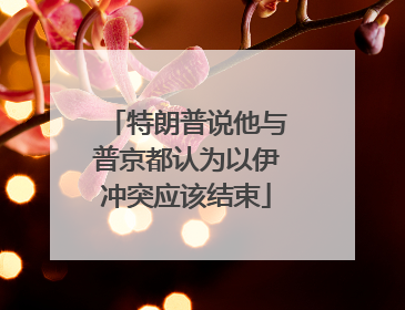 特朗普说他与普京都认为以伊冲突应该结束
