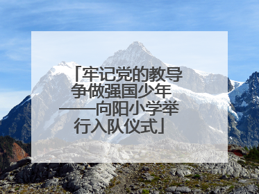 牢记党的教导 争做强国少年——向阳小学举行入队仪式