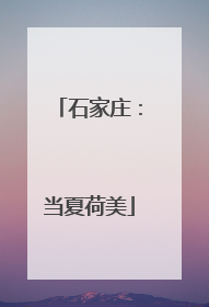 石家庄：当夏荷美