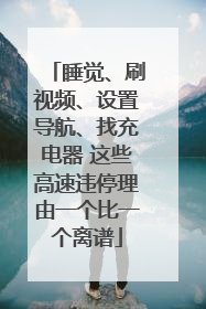 睡觉、刷视频、设置导航、找充电器 这些高速违停理由一个比一个离谱