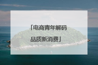 电商青年解码品质新消费