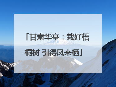 甘肃华亭：栽好梧桐树 引得凤来栖